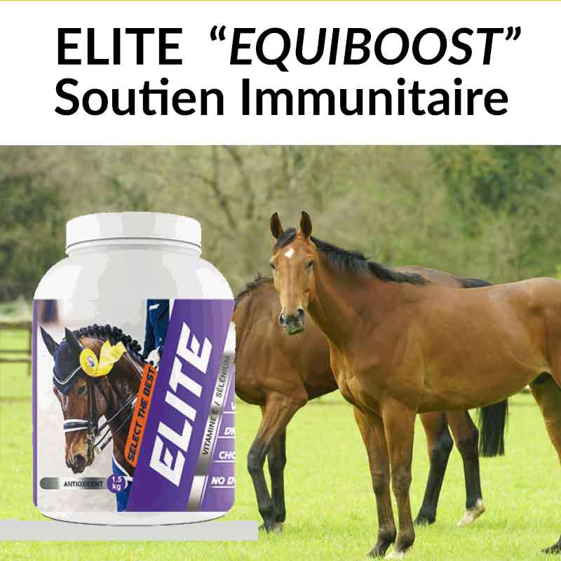 ELITE-BOOST-800-px