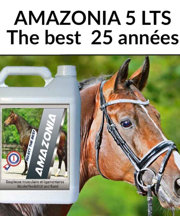 Amazonia 5 lts. Idéal toutes la saison concours, protège ligaments, légères boiteries, améliore les allures raides.