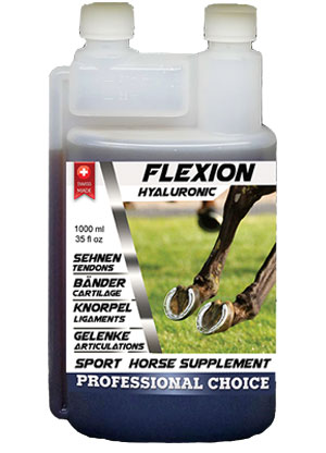 Sport Horse