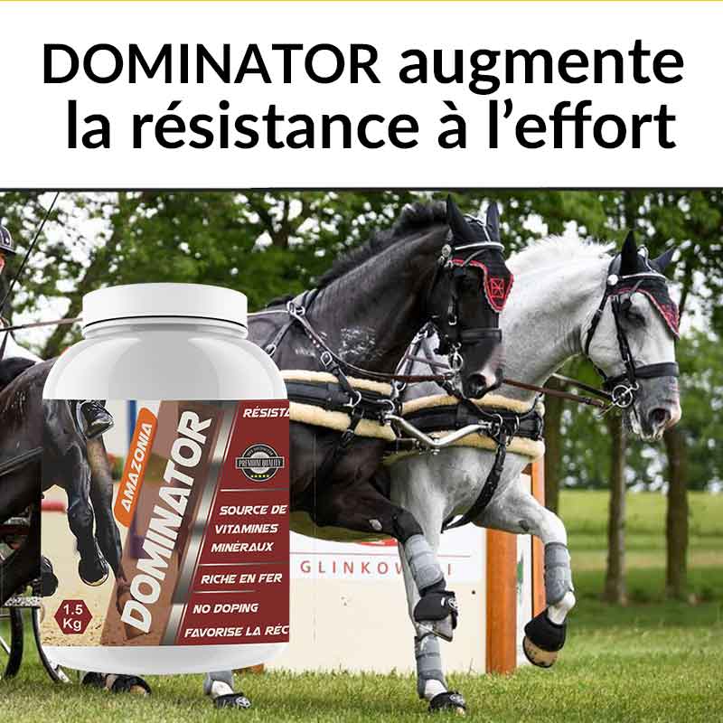 Dominator-attelage-800-px