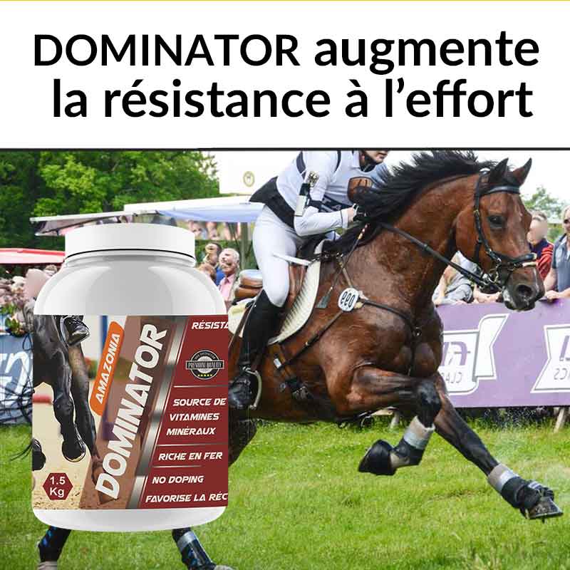 Dominator-complet-800-px