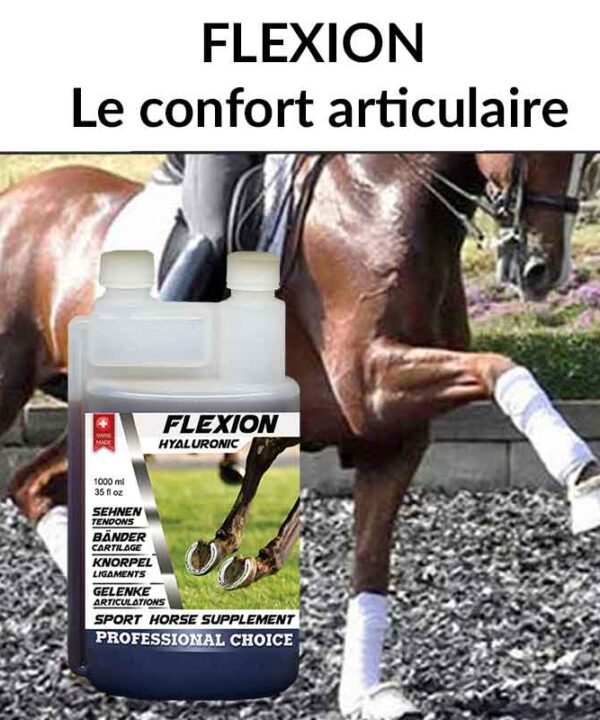 Flexion 1000ml Offrez à votre cheval la liberté de mouvement et le confort articulaire qu'il mérite